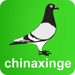 中国信鸽信息网手机版