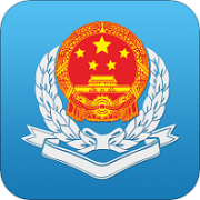 广东电子税务局app