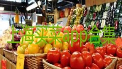 上海买菜app排行