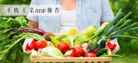 西安可以网上买菜的平台-西安网上买菜送货上门的app-西安买菜平台大全