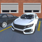 汽车驾驶和停车模拟器(Car Simulator)